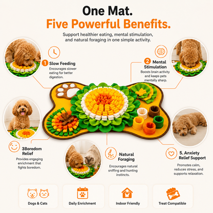 Slow Feeding Snuffle Mat