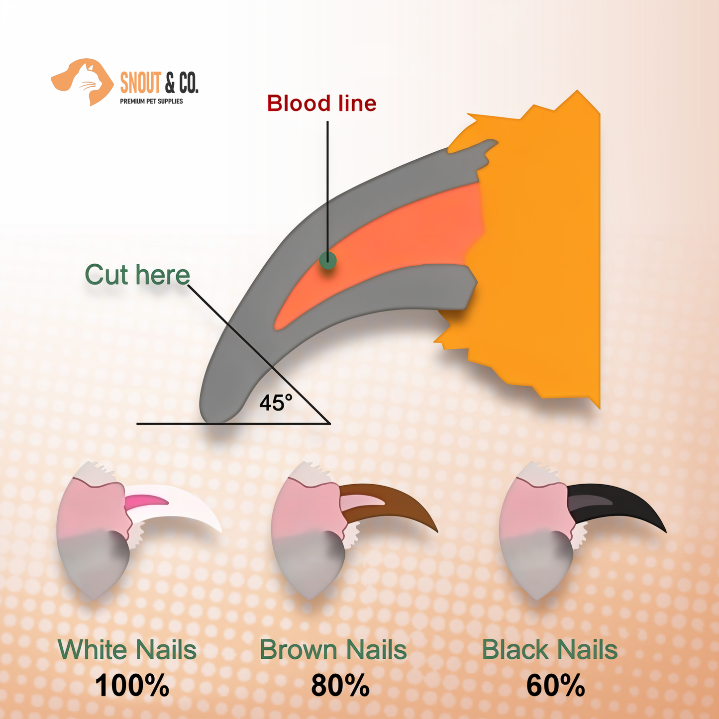Safe Trim Pet Nail Clipper