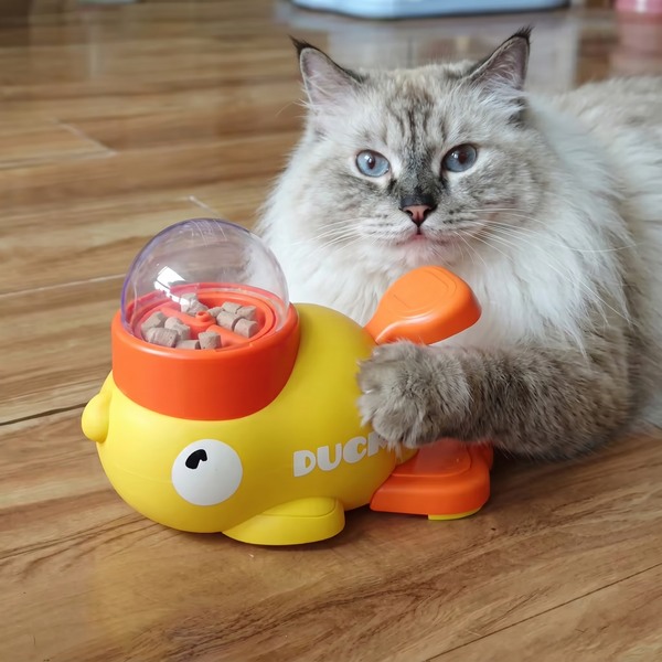 Social